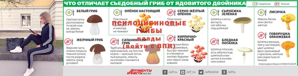 наркотики Алексин