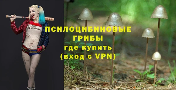 герыч Переславль-Залесский