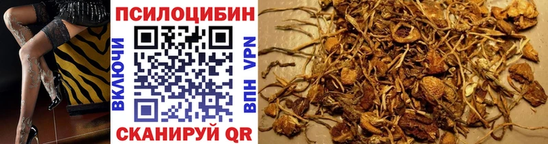 Галлюциногенные грибы Psilocybe  Апшеронск 